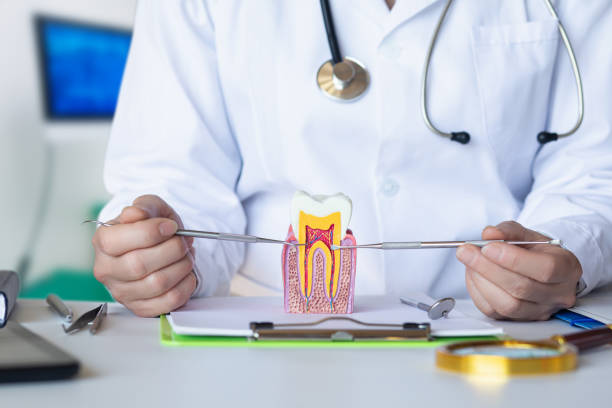 Best Weekend Emergency Dentist in Forest Hills, MI